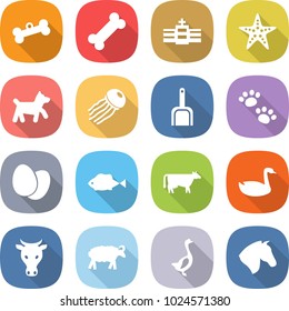 flat vector icon set - bone vector, hospital, starfish, dog, jellyfish, scoop, pets, eggs, fish, cow, goose, sheep, horse