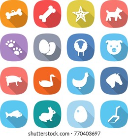 flat vector icon set - bone vector, starfish, dog, pets, eggs, sheep, pig, goose, chicken, horse, fish, rabbit, egg, scoop
