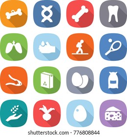 flat vector icon set - bone vector, dna, tooth, lungs, acid, tourist, tennis, walnut crack, cereals, eggs, flour, harvest, beet, egg, cheese