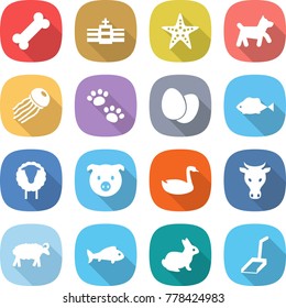 flat vector icon set - bone vector, hospital, starfish, dog, jellyfish, pets, eggs, fish, sheep, pig, goose, cow, rabbit, scoop