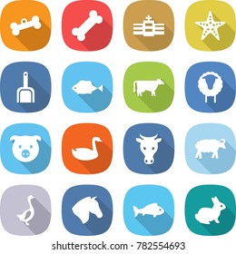 flat vector icon set - bone vector, hospital, starfish, scoop, fish, cow, sheep, pig, goose, horse, rabbit