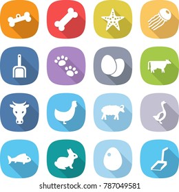 flat vector icon set - bone vector, starfish, jellyfish, scoop, pets, eggs, cow, chicken, sheep, goose, fish, rabbit, egg