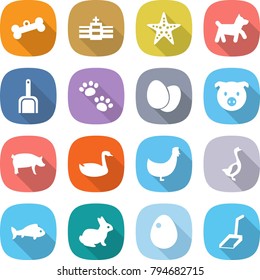 flat vector icon set - bone vector, hospital, starfish, dog, scoop, pets, eggs, pig, goose, chicken, fish, rabbit, egg
