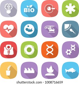 flat vector icon set - bulb brain vector, bio, cell corection, ambulance star, heart pulse, pregnancy, helicopter, sperm, life vest, lifebuoy, dna, edit, seedling, sprouting, fish