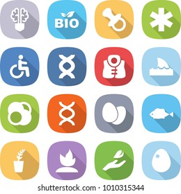 flat vector icon set - bulb brain vector, bio, nipple, ambulance star, disability, dna, life vest, shark flipper, atom core, eggs, fish, seedling, sprouting, hand leaf, egg