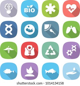 flat vector icon set - bulb brain vector, bio, ambulance star, heart pulse, dna, pregnancy, sperm, lungs, sign, life vest, recycle, edit, fish, sprouting, hand and drop