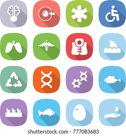 flat vector icon set - bulb brain vector, cell corection, ambulance star, disability, lungs, sign, life vest, shark flipper, recycle, dna, edit, fish, seedling, egg, hand and drop