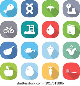 flat vector icon set - chicken leg vector, dna, ambulance sign, warehouse scales, bike, pool, drop, cereals, fish, grape, corn, apple, egg, carrot, tooth brush