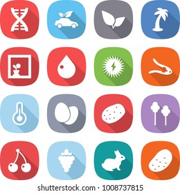 flat vector icon set - dna vector, eco car, leafs, palm, flower in window, drop, solar power, walnut crack, thermometer, eggs, potato, trees, cherry, grape, rabbit