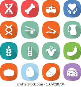 flat vector icon set - dna vector, bone, ambulance car, health care, garlic clasp, walnut crack, jug, spike, corn, eggplant, pumpkin, egg, potato, cheese
