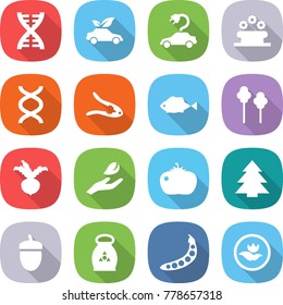 flat vector icon set - dna vector, eco car, electric, flower bed, walnut crack, fish, trees, beet, hand leaf, tomato, spruce, acorn, fertilizer, peas, ecology
