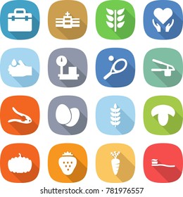 flat vector icon set - doctor bag vector, hospital, spikelets, health care, acid, warehouse scales, tennis, garlic clasp, walnut crack, eggs, spike, mushroom, pumpkin, strawberry, carrot
