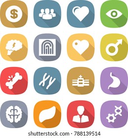 flat vector icon set - dollar vector, group, heart, eye, brain, fingerprint, male sign, broken bone, chromosomes, hospital, stomach, liver, client, dna edit