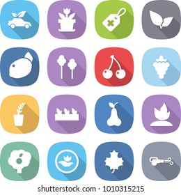 flat vector icon set - eco car vector, flower, medical label, leafs, lemon, trees, cherry, grape, seedling, pear, sprouting, garden, ecology, maple leaf, blower