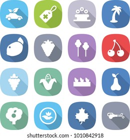 flat vector icon set - eco car vector, medical label, flower bed, palm, lemon, berry, trees, cherry, grape, corn, seedling, pear, garden, ecology, maple leaf, blower