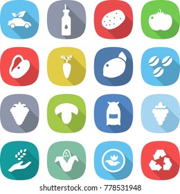 flat vector icon set - eco car vector, vegetable oil, potato, tomato, beans, carrot, lemon, coffee seeds, berry, mushroom, flour, grape, harvest, corn, ecology, recycling