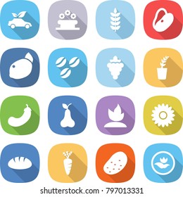 flat vector icon set - eco car vector, flower bed, spike, beans, lemon, coffee seeds, grape, seedling, eggplant, pear, sprouting, bread, carrot, potato, ecology