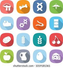 flat vector icon set - factory filter vector, bone, dna, ambulance sign, acid, edit, walnut crack, pasta, potato, spike, cherry, apple, jug, egg, cheese