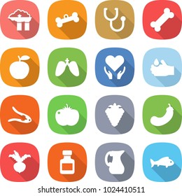 flat vector icon set - factory filter vector, bone, stethoscope, apple, lungs, health care, acid, walnut crack, tomato, berry, eggplant, beet, pills bottle, jug, fish