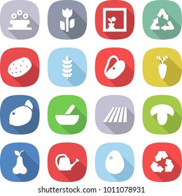 flat vector icon set - flower bed vector, perishable, in window, recycle, potato, spike, beans, carrot, lemon, mortar, field, mushroom, pear, watering can, egg, recycling