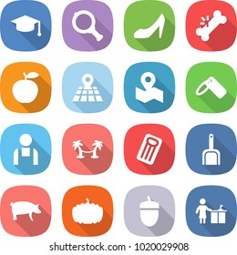 flat vector icon set - graduate hat vector, magnifier, shoes, broken bone, apple, map, label, workman, palm hammock, inflatable mattress, scoop, pig, pumpkin, acorn, kitchen cleaning