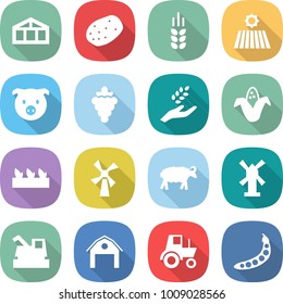 flat vector icon set - greenhouse vector, potato, spike, field, pig, grape, harvest, corn, seedling, windmill, sheep, harvester, barn, tractor, peas