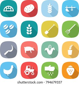 flat vector icon set - greenhouse vector, potato, spike, plow, coffee seeds, shovel, fork, sickle, pig, corn, seedling, chicken, tractor, sow, strawberry