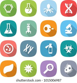 flat vector icon set - hex molecule vector, round flask, virus, dna, modify, artificial insemination, microscope, microbe, chromosomes, potion bottle, biohazard, liver, viruses, microb