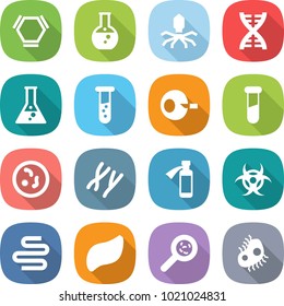 flat vector icon set - hex molecule vector, round flask, virus, dna, vial, artificial insemination, test, microbe, chromosomes, potion bottle, biohazard, intestines, liver, viruses, microb