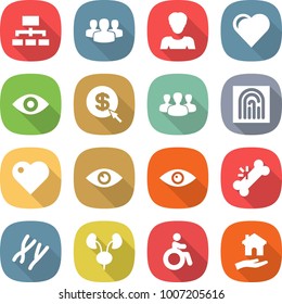 flat vector icon set - hierarchy vector, group, woman, heart, eye, dollar arrow, fingerprint, broken bone, chromosomes, kidneys, invalid, housing