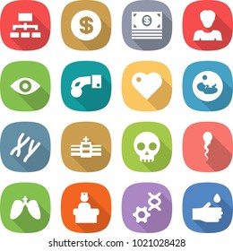flat vector icon set - hierarchy vector, dollar, money, woman, eye, hand coin, heart, pregnancy, chromosomes, hospital, skull, sperm, lungs, recieption, dna edit, drop