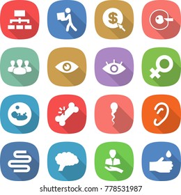 flat vector icon set - hierarchy vector, courier, dollar arrow, cell corection, group, eye, female sign, pregnancy, broken bone, sperm, ear, intestines, brain, client, hand drop