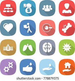 flat vector icon set - hierarchy vector, money gift, group, woman, heart, courier, cell corection, broken bone, hospital, lungs, brain, virus, dna edit, hand drop, and, housing