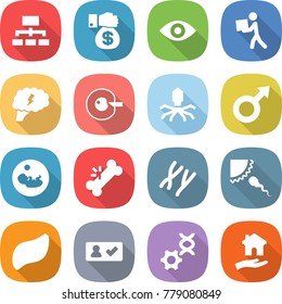 flat vector icon set - hierarchy vector, money gift, eye, courier, brain, cell corection, virus, male sign, pregnancy, broken bone, chromosomes, sperm, liver, check in, dna edit, housing