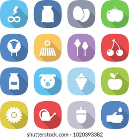 flat vector icon set - infinity power vector, flour, eggs, tomato, sheep, field, trees, cherry, pig, grape, apple, flower, watering can, acorn, hand drop