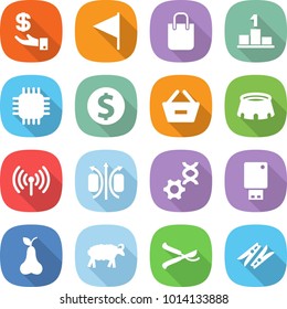 flat vector icon set - investment vector, flag, shopping bag, pedestal, chip, dollar coin, remove from basket, stadium, wireless, magnetic field, dna edit, usb flash, pear, sheep, pruner, clothespin