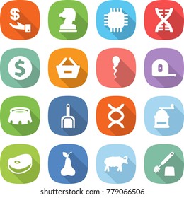 flat vector icon set - investment vector, chess horse, chip, dna, dollar coin, remove from basket, sperm, measuring tape, stadium, scoop, hand mill, steake, pear, sheep, toilet brush