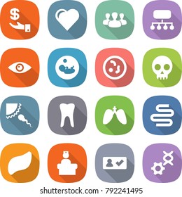 flat vector icon set - investment vector, heart, group, structure, eye, pregnancy, microbe, skull, sperm, tooth, lungs, intestines, liver, hospital recieption, check in, dna edit