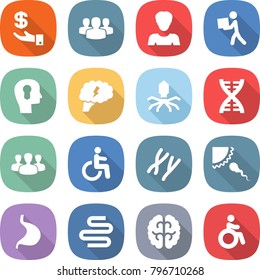 flat vector icon set - investment vector, group, woman, courier, bulb head, brain, virus, dna, disability, chromosomes, sperm, stomach, intestines, invalid