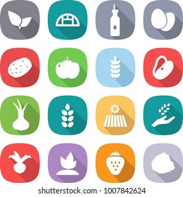 flat vector icon set - leafs vector, greenhouse, vegetable oil, eggs, potato, tomato, spike, beans, onion, field, harvest, beet, sprouting, strawberry, pile of garbage
