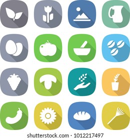 flat vector icon set - leafs vector, perishable, landscape, jug, eggs, tomato, mortar, coffee seeds, berry, mushroom, harvest, seedling, eggplant, flower, bread, rake
