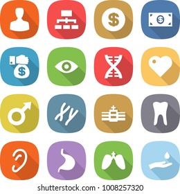 flat vector icon set - man vector, hierarchy, dollar, money, gift, eye, dna, heart, male sign, chromosomes, hospital, tooth, ear, stomach, lungs, hand and drop