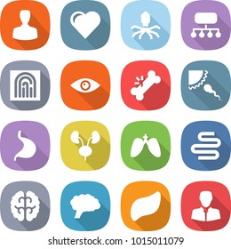flat vector icon set - man vector, heart, virus, structure, fingerprint, eye, broken bone, sperm, stomach, kidneys, lungs, intestines, brain, liver, client