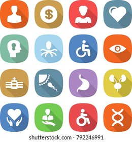flat vector icon set - man vector, dollar, woman, heart, bulb head, virus, disability, eye, hospital, sperm, stomach, kidneys, health care, client, invalid, dna