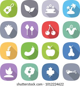 flat vector icon set - medical label vector, leafs, flower bed, island, berry, trees, cherry, corn, seedling, eggplant, apple, pear, sprouting, garden, maple leaf, blower
