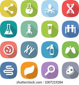 flat vector icon set - molecule vector, round flask, virus, dna, modify, test vial, microbe, chromosomes, potion bottle, lungs, intestines, liver, viruses, microb