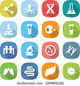 flat vector icon set - molecule vector, virus, dna, flask, microscope, vial, artificial insemination, test, microbe, chromosomes, lungs, intestines, liver