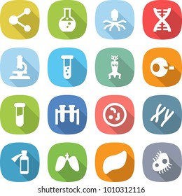 flat vector icon set - molecule vector, round flask, virus, dna, microscope, vial, modify, artificial insemination, test, microbe, chromosomes, potion bottle, lungs, liver, microb