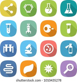 flat vector icon set - molecule vector, hex, round flask, vial, dna modify, artificial insemination, test, microscope, microbe, potion bottle, intestines, liver, virus, viruses