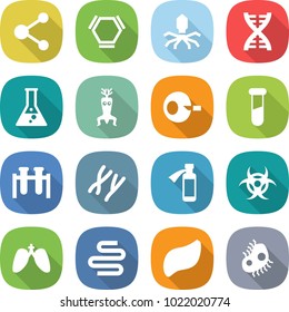 flat vector icon set - molecule vector, hex, virus, dna, flask, modify, artificial insemination, test vial, chromosomes, potion bottle, biohazard, lungs, intestines, liver, microb